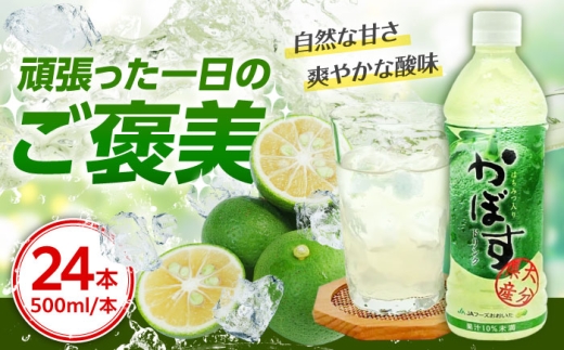 y啪cszy݂͂zڂhN500ml×24{@cs / S_ƋgA啪{@W[X J{X n`~c [ARFD004]
