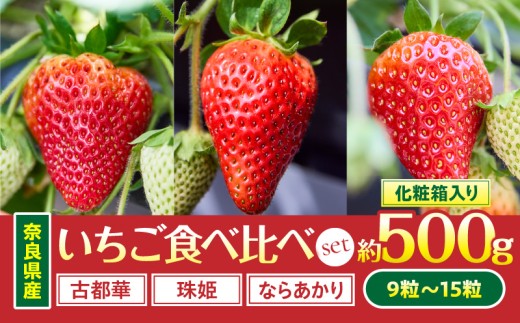 yޗǌszy2026N1`2026N3{zuޗǌY3Zbgvϔ肢 Hה  C`S  Ós P Ȃ炠 ϔ  ʕ t[c f