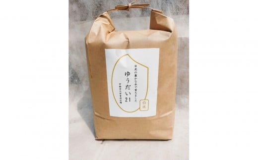 yȖ،szys\tz2025N11ߘa7NY 䂤21  10kgi5kg×2܁j b  V ʌ