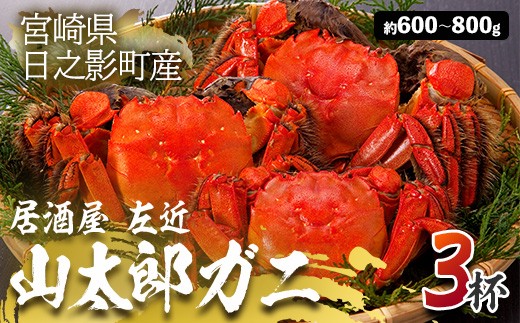 期間限定＞山太郎ガニ(3杯・約600g-800g)海鮮 魚介類 蟹 カニ