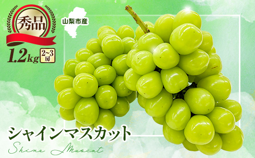 2026年発送 先行受付＞大人気!シャインマスカット秀 1.2kg(2～3房)_