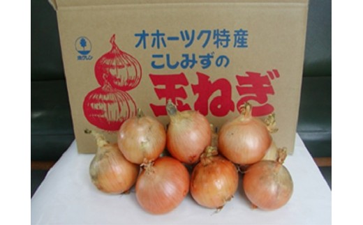玉ねぎ 種 野菜たね タマネギ （超極早生）新春玉葱EX 1袋（3ml） 玉葱 玉ねぎ