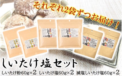 y啪szIׂ邵Zbg2_2524R-2