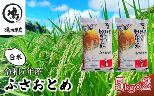 yttszVā@ߘa7N ӂƂ߁@ā@10kgi5kg×2jy   嗱 SC t@ z t  [5346-0318]