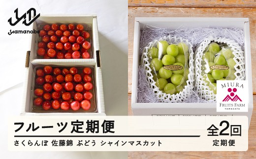 yR`RӒzyӂ邳Ɣ[Łzs\ t[c   Ԃǂ VC}XJbg v2 ߘa8NY 2026NY R`RӒY t[c ʕ bg-ftssx2