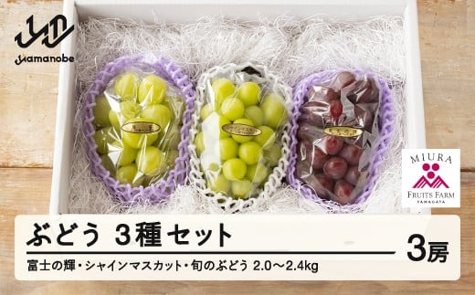 yR`RӒzyӂ邳Ɣ[Łzs\ Ԃǂ xm̋P VC}XJbg 1 3Zbg ߘa8NY 2026NY R`RӒY ubNVC}XJbg t[c ʕ bg-bu3xx2000