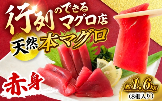 y_ސ쌧{szVR {܂ Ԑg v1.6kg i8jy{ꏤHc ĂȂMtgǁi{܂뒼 {{Xjz [AKAK099]