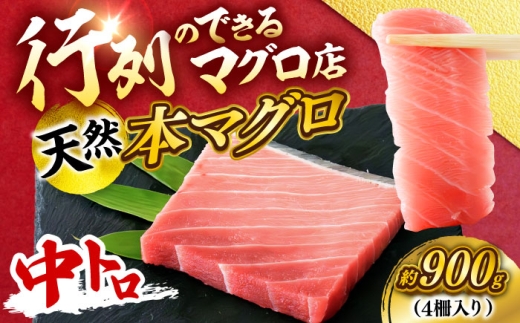 y_ސ쌧{szVR {܂ g v900g i4jy{ꏤHc ĂȂMtgǁi{܂뒼 {{Xjz [AKAK101]