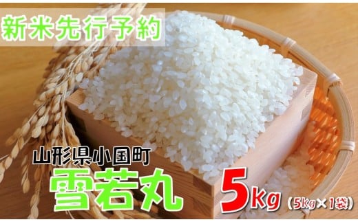 yR`zyߘaVNY s\z5kg(5kg×1)@ɂ̂