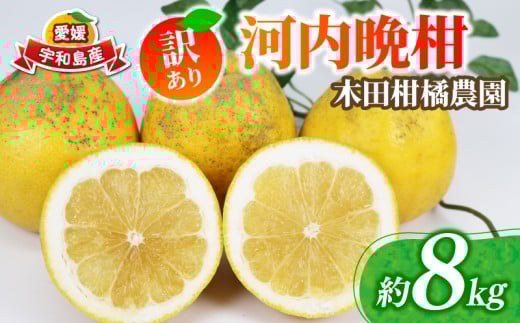 yQFasz󂠂 ͓ӊ  8kg ؓck_ ӊ 킿΂񂩂 a O[vt[c A 󂠂i Q݂ Q QY݂  ݂ mikan u₩ 