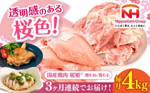 ykC^zyS3ցzP {ނˁ{Zbg v4kg i{ނˁE{ e2kgjs^ty{t[hЁz P { { Ƃ  { ނ˓ {ނ g 2L