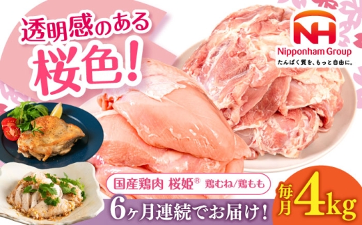 ykC^zyS6ցzP {ނˁ{Zbg v4kg i{ނˁE{ e2kgjs^ty{t[hЁz P { { Ƃ  { ނ˓ {ނ g 2L