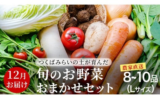 農家直送　13600円！ 農家直送 旬のお野菜 おまかせセット 【2025年12月お届け】 L