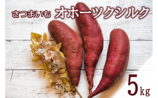 予約：2025年11月中旬から順次発送】北海道北見市常呂町産 サツマイモ