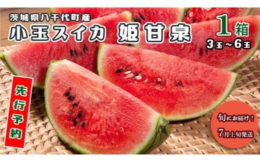 先行予約 2026年7月上旬発送】八千代町産 小玉スイカ 姫甘泉 1箱