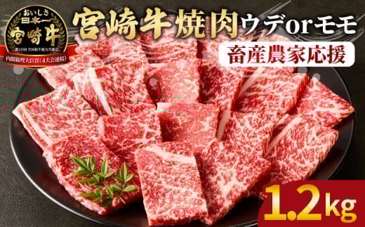 y{茧xz{苍 Ԑgē 2pbNi1.2kgj2026N1ɏoׁy Y јa    XCX ԐgXCX Ef  4ȏ uh Ԑg | i Mt