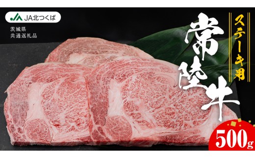 y錧}szy JAk z 헤 [X Xe[Lp 500g ( 250g × 2 ) uh  A5 A4   a  ɂ Xe[L ē o[xL[ Mtg  蕨 錧ʕԗ
