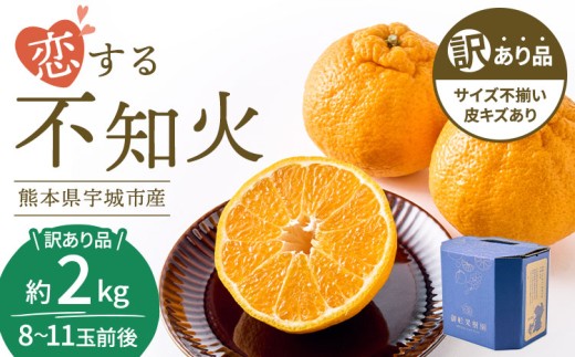 乾燥くるみ樹皮2kg セット。　7-061 乾燥くるみ樹皮2kg セット。 7-061 乾燥くるみ樹皮2kg セット。 7-061