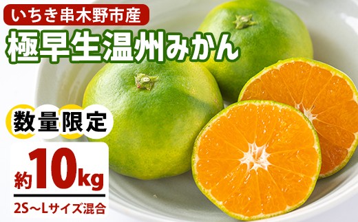 MJJ　和みかん10kg 5kg 愛媛県西宇和産極早生みかん 10Kg