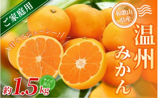 家庭用】 森本農園の手選別 みかん 約1.5kg 和歌山県産 2S~2Lサイズ
