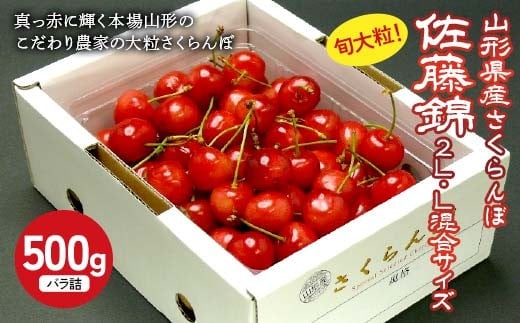 yR`zss\2026Nxt{嗱 R`Y  2LELTCY 500g ol Gi FSY-0418