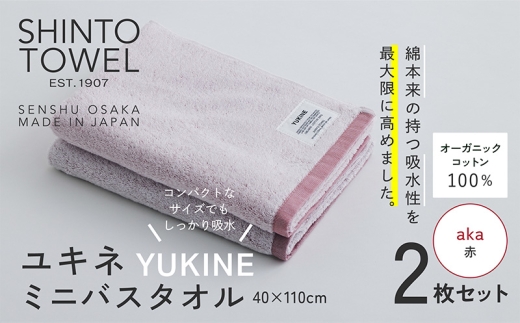 y{򍲖szSHINTO TOWELuLlE~joX^Ivakaiԁj2Zbg I[KjbNRbg100%