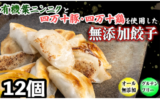 ym{szL@ t jjN  l\ ō ō Lq i 6 x 2pbN j傤 MEU ɂɂ m  EA0271