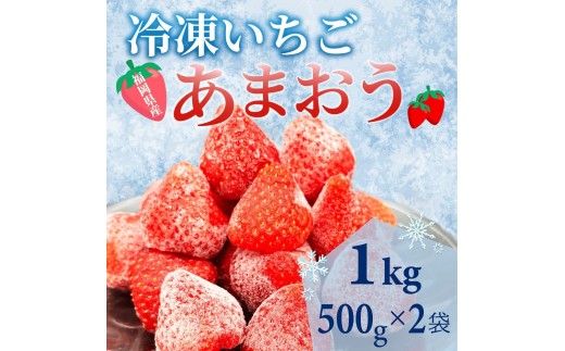 yCzyXC[cȒ蕨z킢ϔIYⓀ܂v1kg(500g×2)yC`S   ܂ ʕ   Ⓚ XC[c p Mt