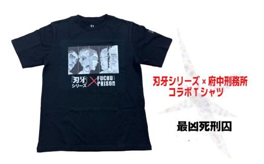 sd1_77dcbc4a15abe494d295244de2