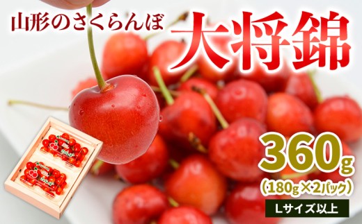 【73%off】定価187,000円 期間限定セール 7月末締切 7月小売売上高は消費堅調に期待も、ジャクソンホール利下げ示唆