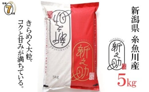 yVszy2025N11zߘa7NYVė\ wVVx5kg VY _ƒ 2025NY \ ̂yV s    R  CX ӂ邳Ɣ[