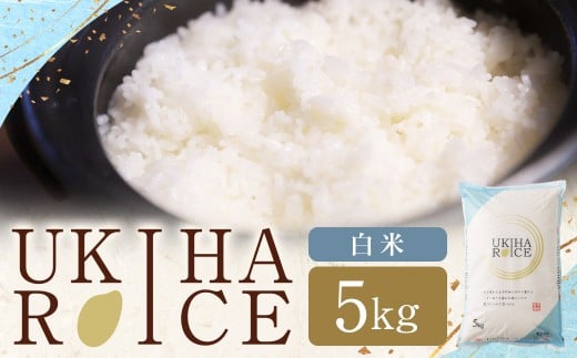 y͎sz݂كt@[ UKIHA RICE 5kg  y2025N11{菇\z qmqJ Ђ̂Ђ   R     ͂  ͎s
