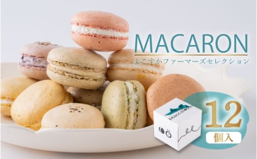 y_ސ쌧{sz}J12Zbg@悱farmersSelection }J@َq@XC[c ؁@y}J[Xz [AKGS002]