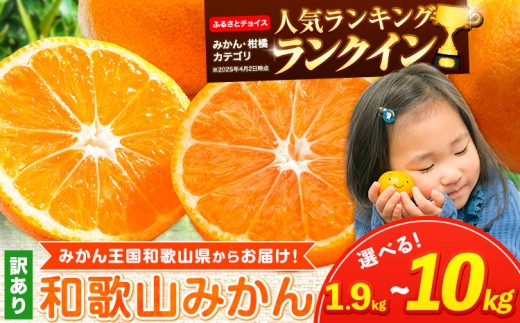 みかん王国和歌山よりお届け！ 訳ありみかん サイズ不選別 選べる内容