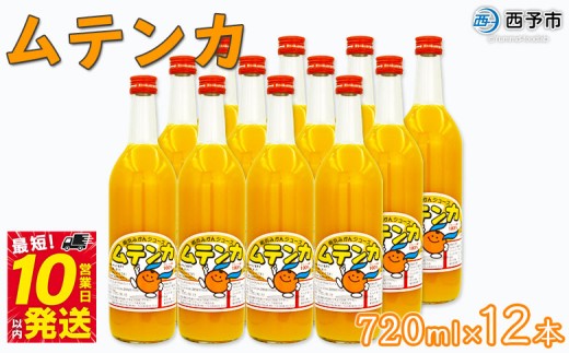 yQ\szl݂W[X eJ 720ml×12{ E-12 B݂ ~JW[X IWW[X \tghN ͂܃V[TChTp[N p Q\sy