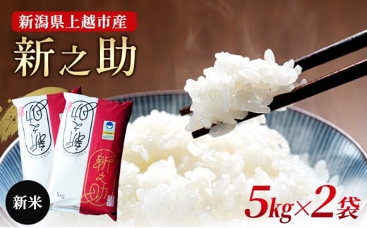 yVzszy10{菇oׁzVzsY@ʍ͔| VV ߘa7NY 10kgi5kg×2܁j ɂ