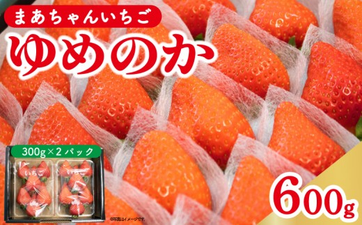 ygszy s\ z  ߂̂ 600g (300g×2p)  Xgx[ ʕ t[c fU[g XC[c  َq mَq aَq P[L [[ W[X W ACX V[