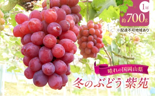 yRzy2026Ns\z Ԃǂ RY ~̂Ԃǂ  i 햳 j1[i700gj s2026N10{-11{oׁt  uhE t[c ʕ ʌ Ԍ R 