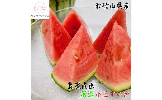 ya̎R쒬zms\nI ʂ lTCY ^2ʓm_ƒnms\nma̎RYnmMS127n