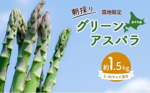 ykCԕszAXp kC 1.5kgÎ InO[AXpiMESTCYjmق肮_n2026N5{o׊Jns\   AXpKX { Ƃꂽ 