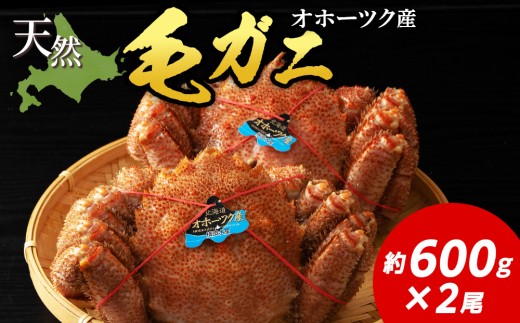 【北海道浜頓別町】毛ガニ 約600g×2尾