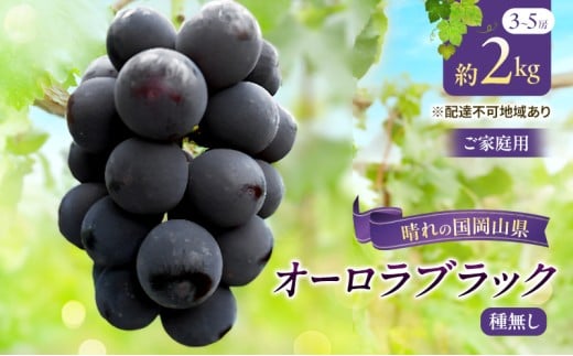 yRzy`CXzy2026Ns\zyƒpzԂǂ RY I[ubN i 햳 j 2kgȏi3`5[j s2026N9{-{oׁt  uhE t[c 