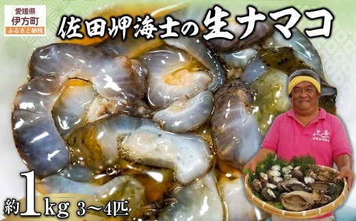 yQɕzys\zyʌzcCm̐i}R 1kgi3`4CjkCEknEEւ̔zsi2026N1{菇j y ӂ邳Ɣ[ lC 