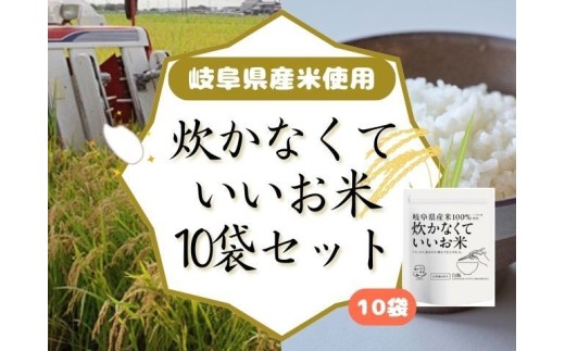 y򕌌zȂĂ 10܃Zbg GPF-11