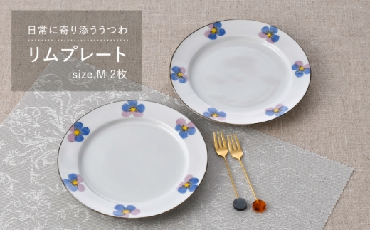 y茧gzygāzv[gM pW[ 2 Zbg yg[G[z [QC78]
