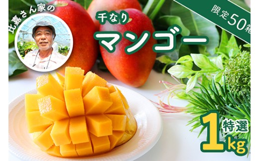 今帰仁産マンゴー　家庭用 沖縄マンゴー 農園直送 今帰仁産 [ 良品 ]（ ご家庭用 ）2Kg