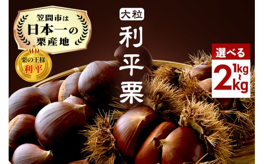無農薬 利平栗 生栗 無農薬 利平栗 生栗 茨城県産 利平栗 幻の栗 無農薬
