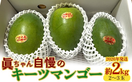 眞ちゃん自慢のキーツマンゴー 約2kg（2～3玉）2026年発送 甘い