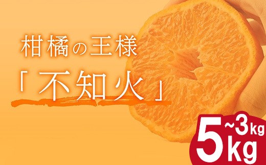 選べる容量】 岡村農園直送 不知火 3kg～5kg | 果汁たっぷりの 完熟