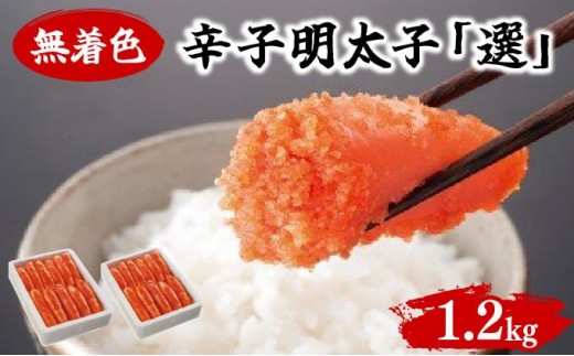 yؒzFhqquIv 600g×2Zbg BV019